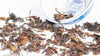 Pinglin Natural Farming Da Man Oriental Beauty Oolong Tea