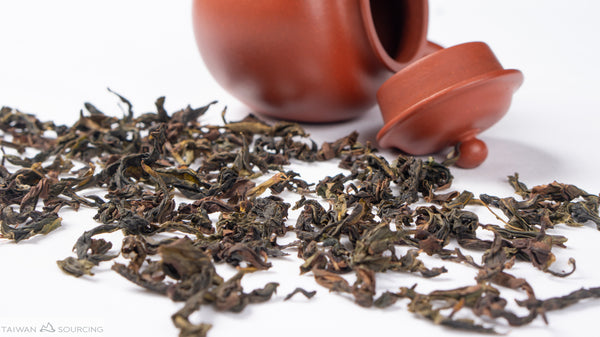 Complete Guide to Brewing Loose Leaf Oolong Tea (UPDATED) - Eco-Cha Teas