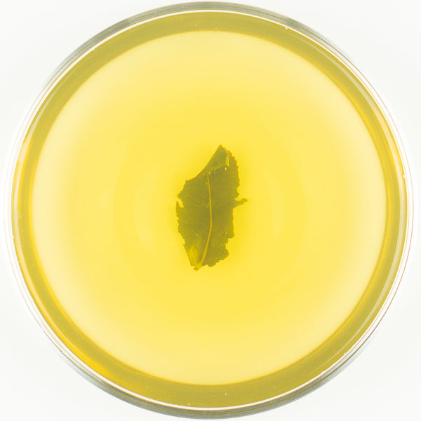 Gaofeng Organic "Citrus Drop" Oolong Tea - Spring 2019