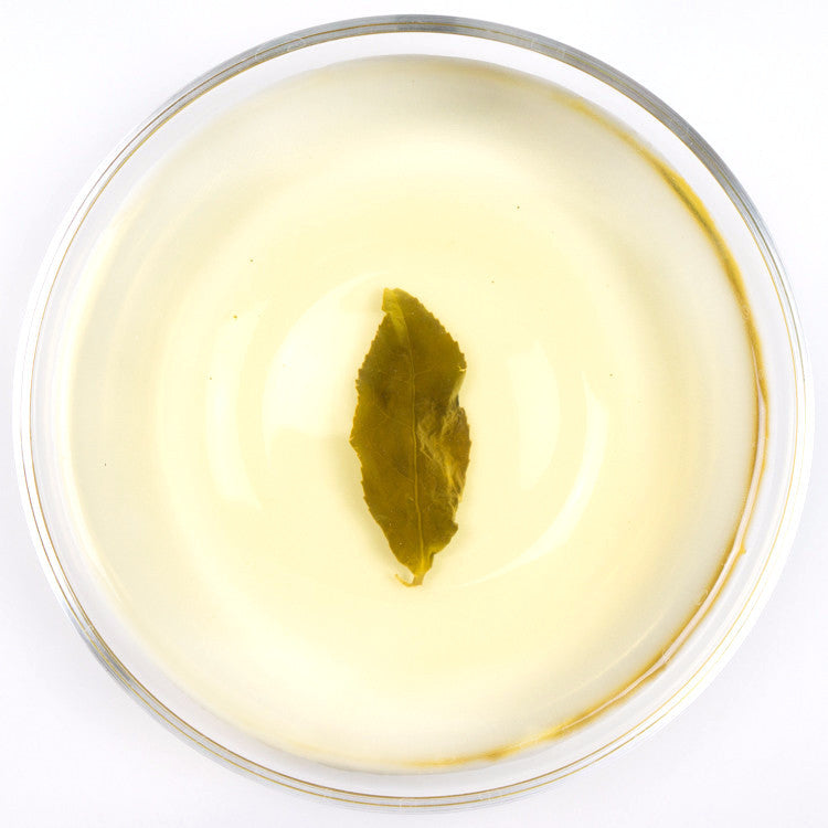 Shanlinxi Ying Xiang Transitional Organic Jade Oolong Tea - Spring 2015