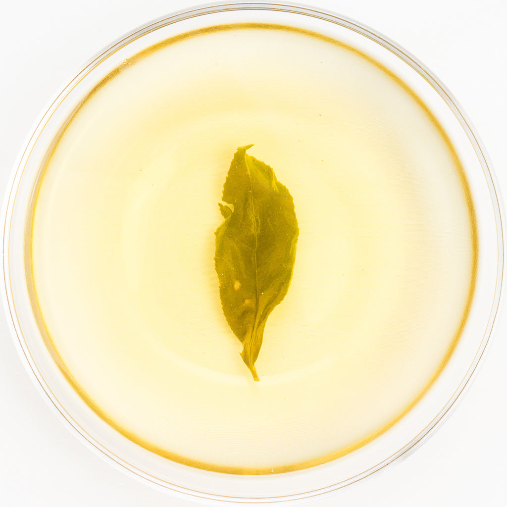 Wushe Gaofeng High Mountain Jade Oolong Tea - Spring 2016