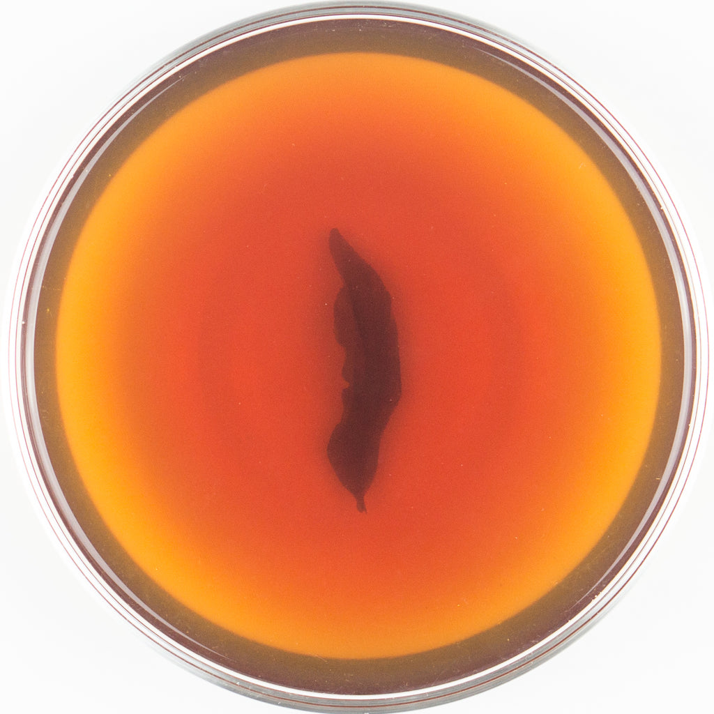 Mingjian Organic #18 "Red Lion" Black Tea