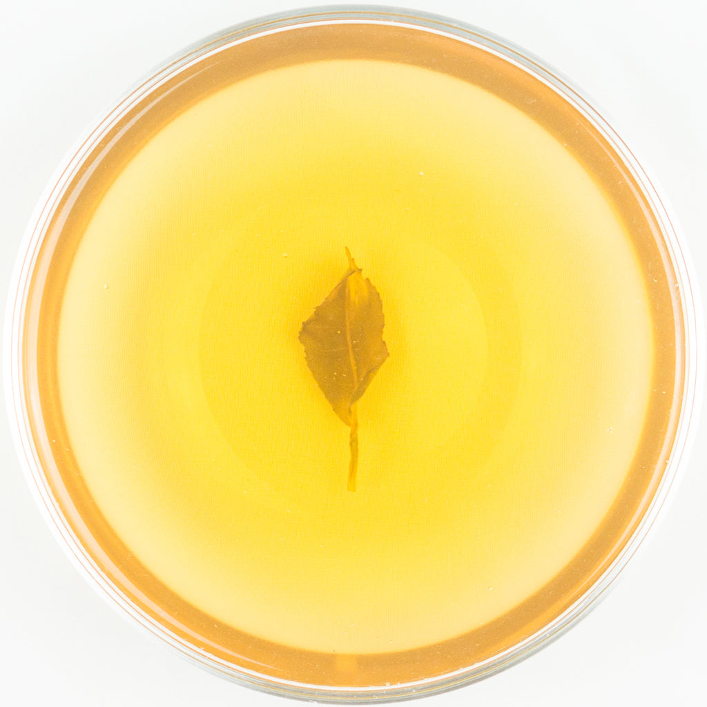 Jingualiau Organic Hong He "Golden Melon" Baozhong Oolong Tea - Winter 2018