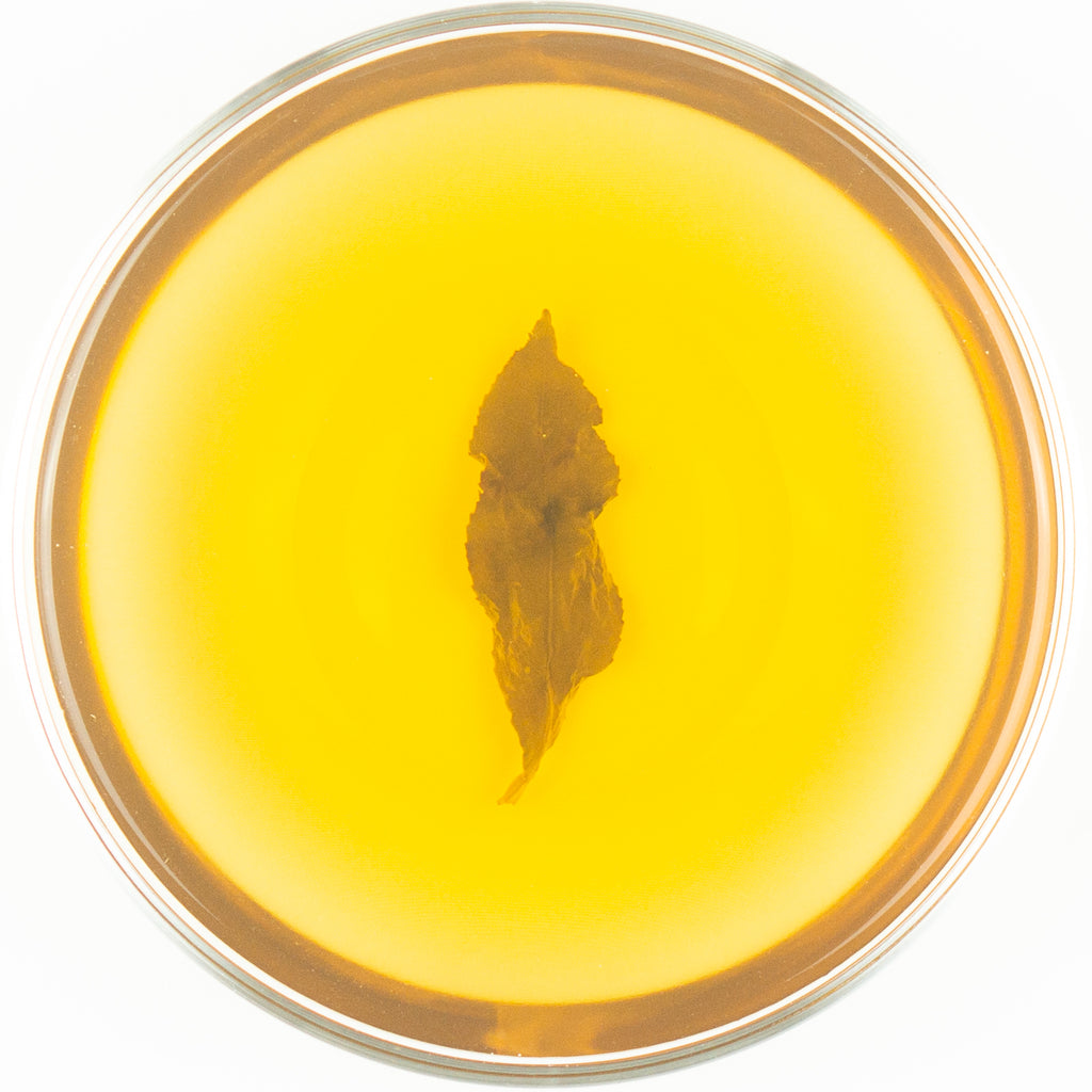 Dazuan Organic "Imperial Magpie" Oolong Tea - Spring 2019