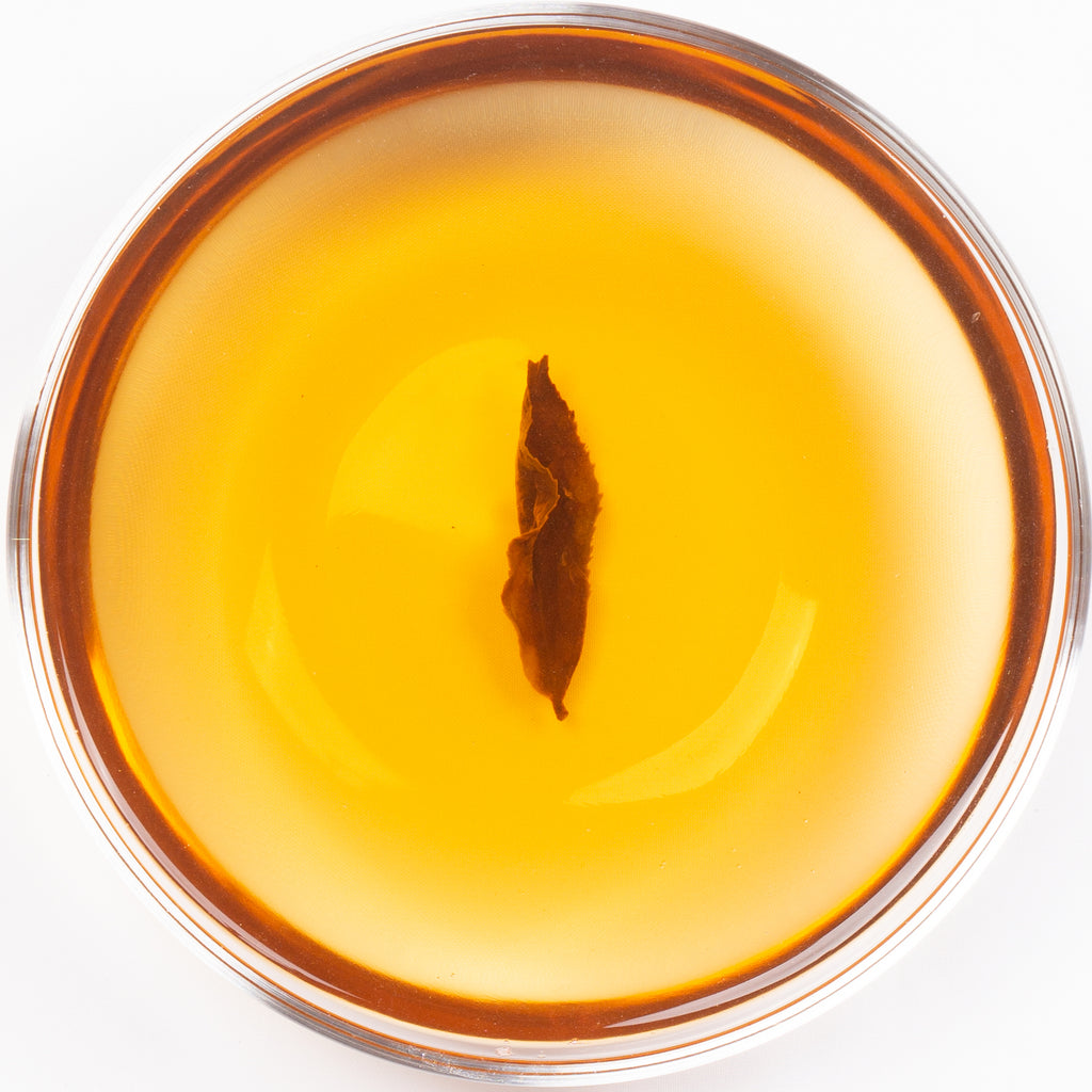 Zhushan Organic Jin Xuan "Orient Fairy" Fanzhuang Oolong Tea - Spring 2022